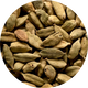 cardamom